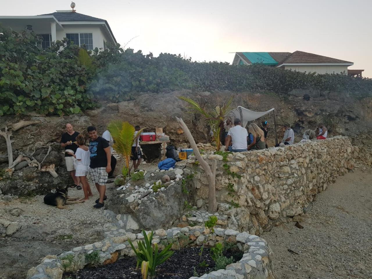 Forever Cottage Robins Bay Dış mekan fotoğraf