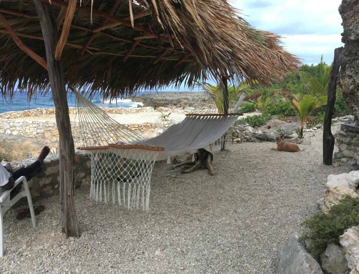 Forever Cottage Robins Bay Dış mekan fotoğraf